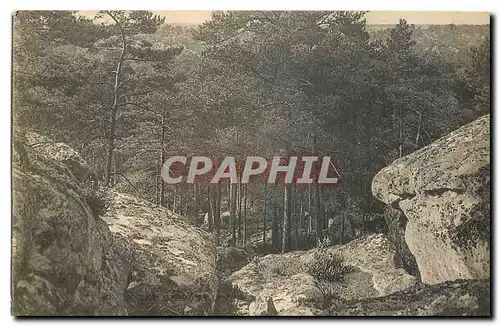 Cartes postales Foret de Fontainebleau