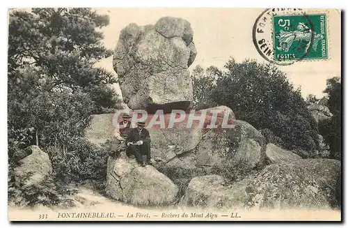 Ansichtskarte AK Fontainebleau La Foret Rochers du Mont Aigu