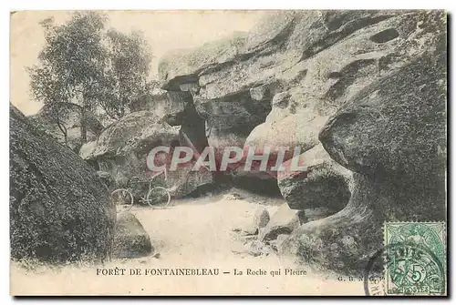 Ansichtskarte AK Foret de Fontainebleau La Roche qui Pleure