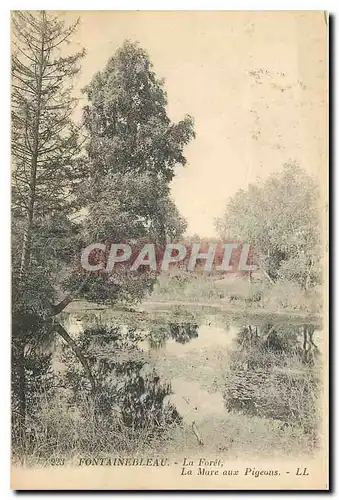 Cartes postales Fontainebleau La Foret La Mare aux Pigeons