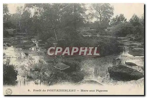 Ansichtskarte AK Foret de Fontainebleau Mare aux Pigeons