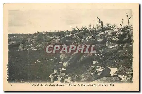 Cartes postales Foret de Fontainebleau Gorges de Franchard apres l'incendie