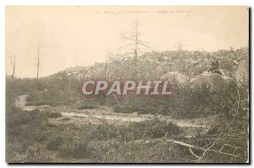 Cartes postales Foret de Fontainebleau