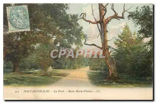 Cartes postales Fontainebleau La Foret Route Marie Therese