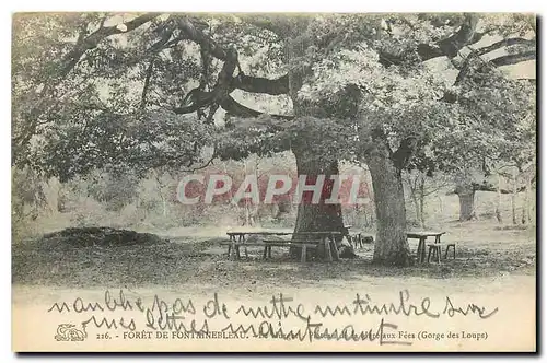 Ansichtskarte AK Foret de Fontainebleau Gorge des Loups