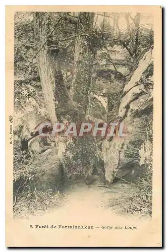 Cartes postales Foret de Fontainebleau Gorge aux Loups