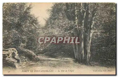 Ansichtskarte AK Foret de Fontainebleau Le Nid de l'Aigle