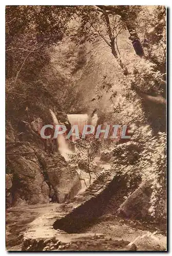 Ansichtskarte AK Toute la France Amelie les Bains P O Gorges du Mondony Cascade d'Annibal