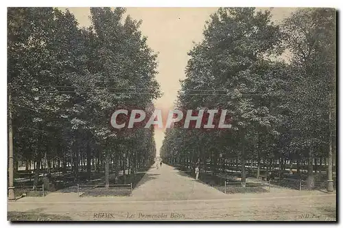 Ansichtskarte AK Reims Les Promenades Basses