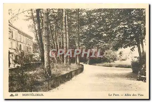 Cartes postales Montelimar Le Pare Allee des Pins