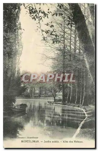 Cartes postales Montelimar Jardin public Allee des Melezes