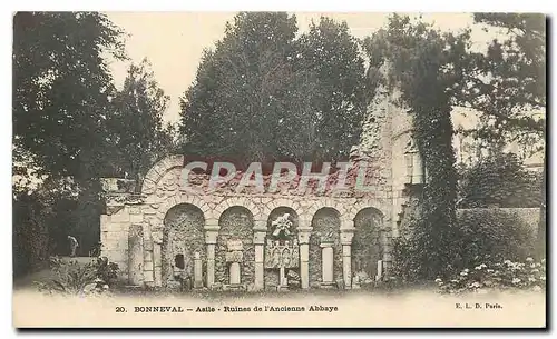 Cartes postales Bonneval Asile Ruines de l'Ancienne Abbaye