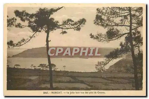 Cartes postales Morgat La Jolie baie vue des pins de Crozon