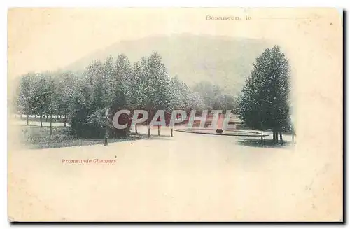 Ansichtskarte AK Besancon Promenade Chamars