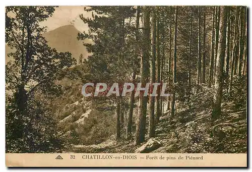 Cartes postales Chatillon en Diois Foret de pins de Pienard