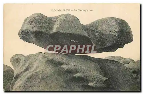 Cartes postales Ploumanach Le Champignon