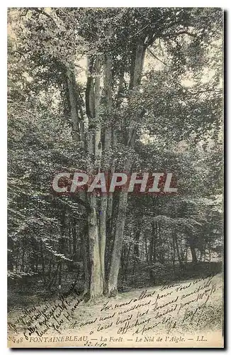 Cartes postales Fontainebleau La Foret Le Nid de l'Aigle