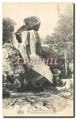 Ansichtskarte AK Foret de Fontainebleau La Dame Jeanne Rocher d'Avon