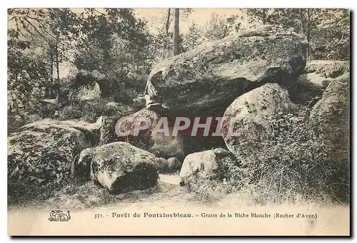 Ansichtskarte AK Foret de Fontainebleau Rocher d'Avon Mont Louis VII