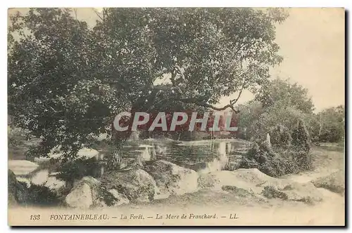 Cartes postales Fontainebleau La Foret La Mare de Franchard