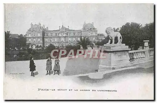 Cartes postales Paris Le senat et le Jardin du Luxembourg Lion