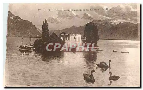 Cartes postales Charles Ile de Salagnon et les Dents du Midi Cygnes