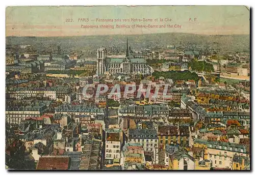 Cartes postales Paris Panorama pris vers Notre Dame de la Cite