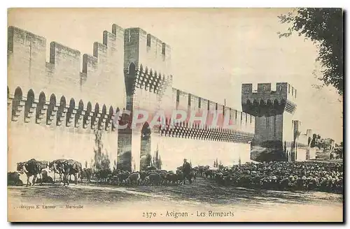 Cartes postales Avignon Les Remparts Moutons Ane Mule
