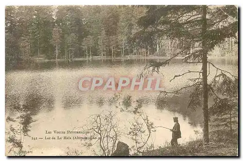 Ansichtskarte AK Les Vosges Pittoresques Lac de la Maix