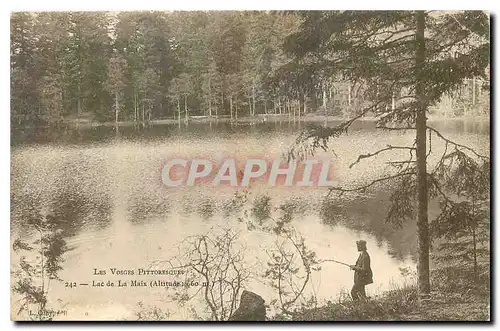 Cartes postales Les Vosges Pittoresques Lac de la Maix