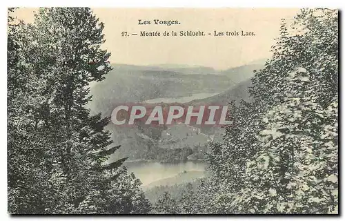 Ansichtskarte AK Les Vosges Montee de la Schlucht Les Trois Lacs