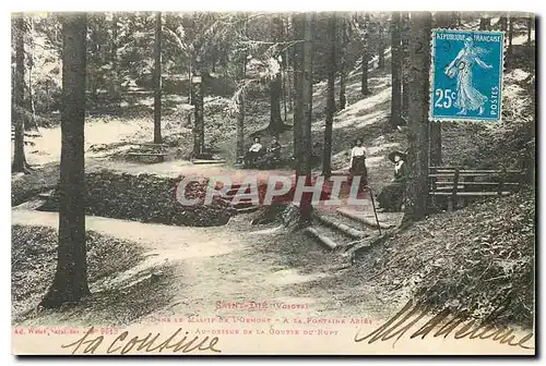 Cartes postales Saint Die Vosges Dans le massif de l'Ormont A la fontaine Abies Au dessus de la goutte du Rupt