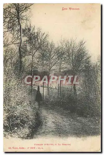 Cartes postales Les Vosges Paysage d'Hiver A la Forain