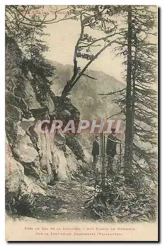 Cartes postales Hautes Vosges Aux Flancs du Hohneck