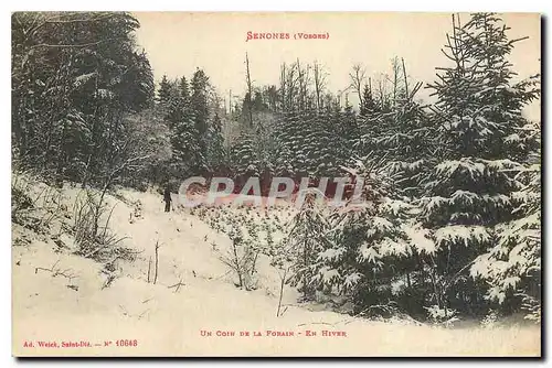 Cartes postales Senones Vosges Un coin de la Forain en hiver