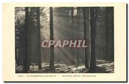 Ansichtskarte AK Plombieres les Bains Rayons sous les Sapins