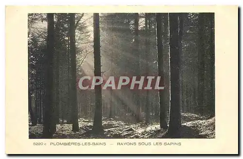 Cartes postales Plombieres les Bains Rayons sous les Sapins
