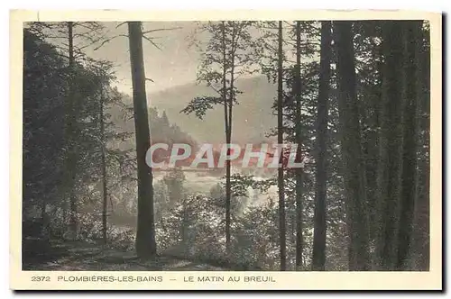 Cartes postales Plombieres les Bains Le Matin au Breuil
