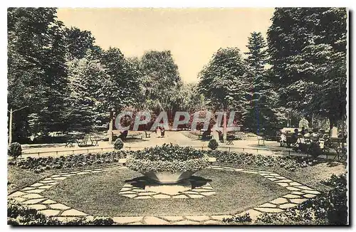 Cartes postales Vittel Dans le Parc Une corbeille de Fleurs