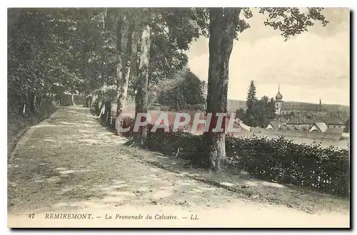 Cartes postales Remiremont La Promenade du Calvaire