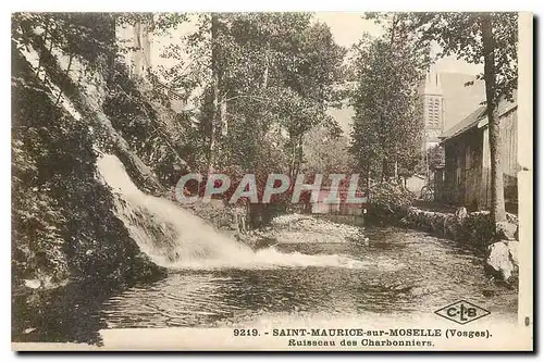 Ansichtskarte AK Saint Maurice sur Moselle Vosges Ruisseau des Charbonniers