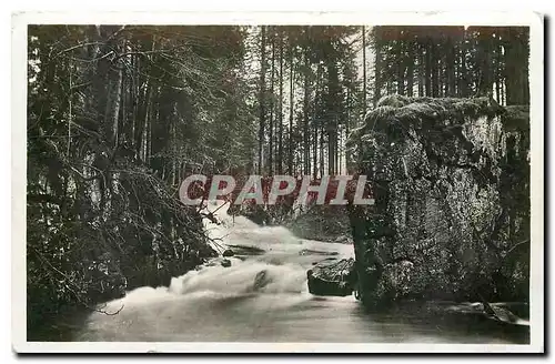 Ansichtskarte AK Gerardmer Le Saut des Cuves