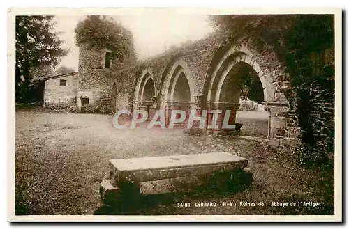 Cartes postales Saint Leonard H Y Ruines de l'Abbaye de l'Artige