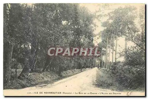 Cartes postales Ile de Noirmoutiers Vendee Le Bois de la Chaise l'Allee des Soupirs