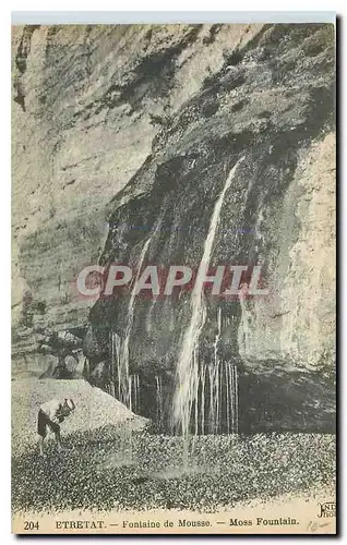 Cartes postales Etretat Fontaine de Mousse