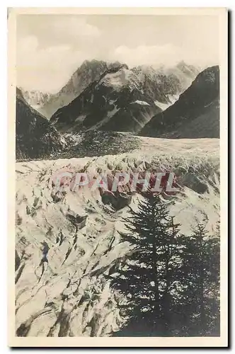 Cartes postales Chamonix La Mer de glace et les Gds Jorasses