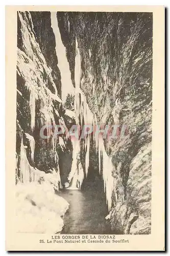 Ansichtskarte AK Les Gorges de la Diosaz Le Pont Narurel et Cascade du Soufflet