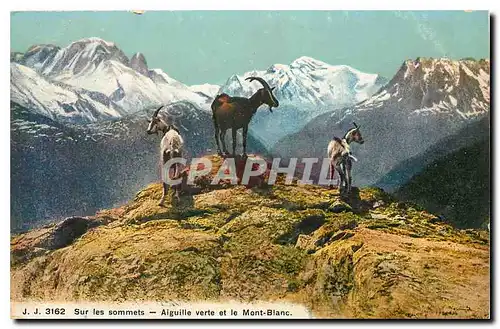 Cartes postales Sur les Sommets Aiguille verte et le Mont Blanc Chevres