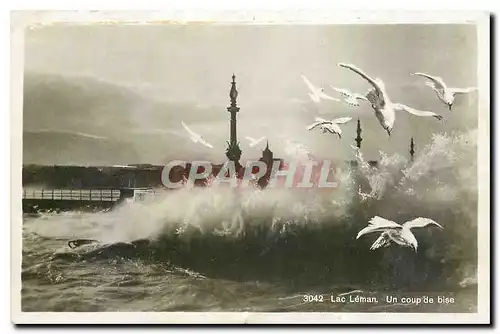 Cartes postales Lac Leman Un coup de bise