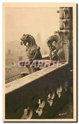 Ansichtskarte AK Paris Chimeres de Notre Dame